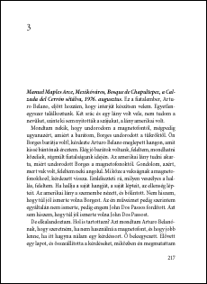 Roberto Bolaño: Vad nyomozók 217. oldal